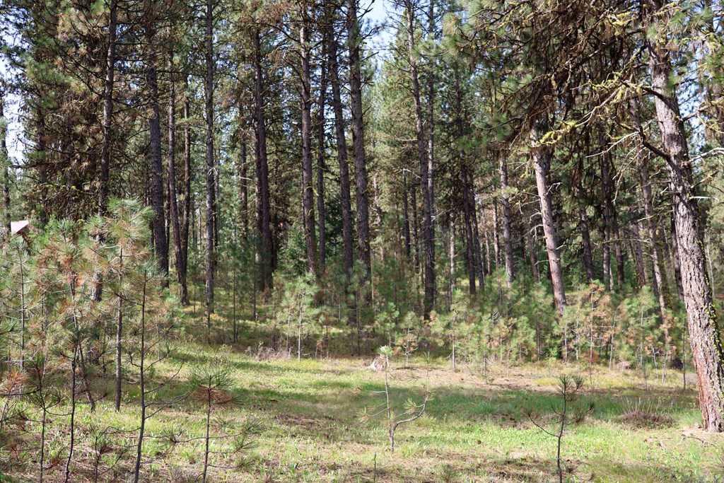 Tbd Hot Springs Road, Unit 6 New Meadows, ID 83654 - Photo 4 of 12