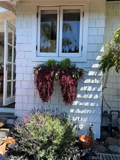 a view of a bunch of flowers