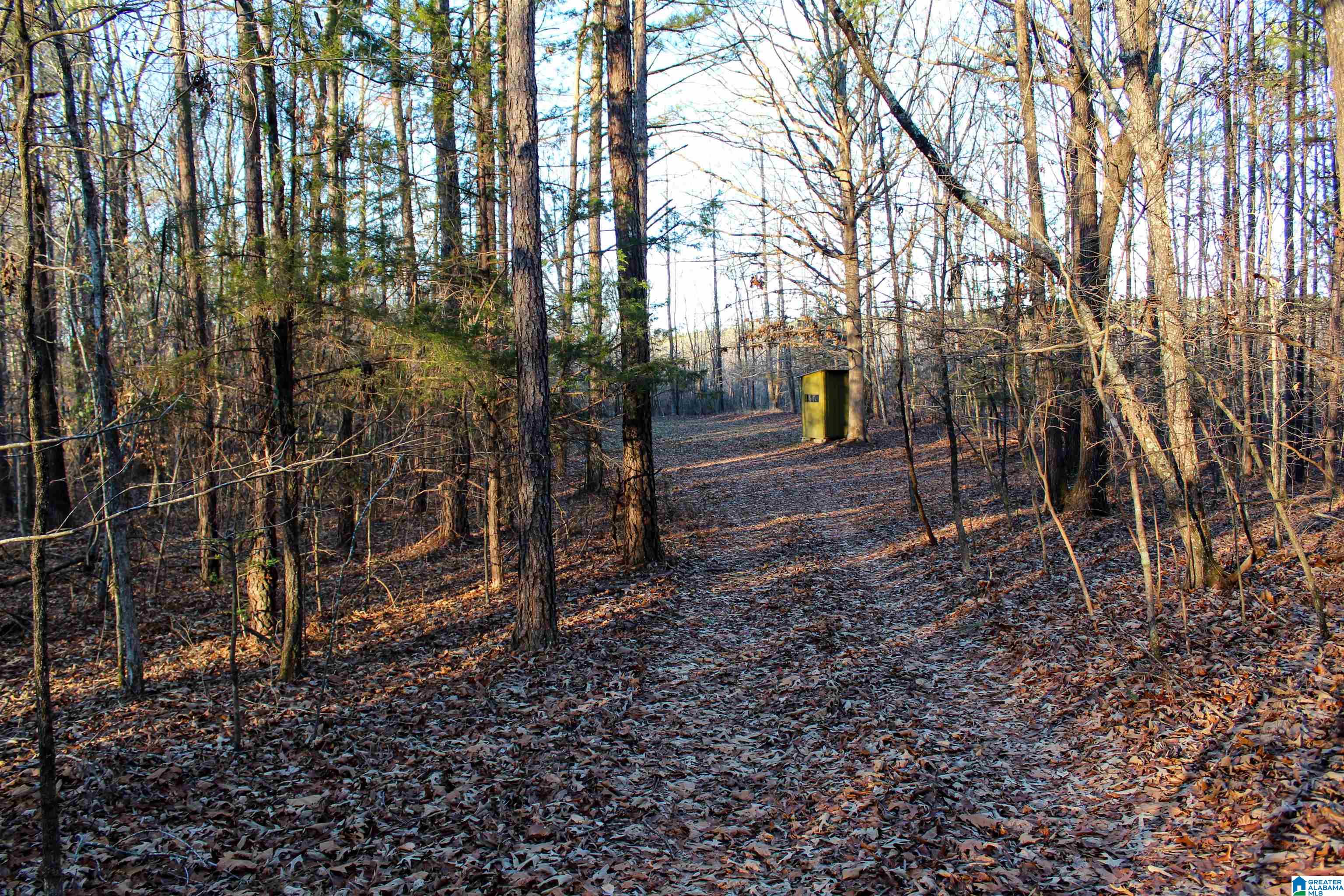29 Highway Hamilton Al, Unit 1 Hamilton, AL 35570 - Photo 16 of 55