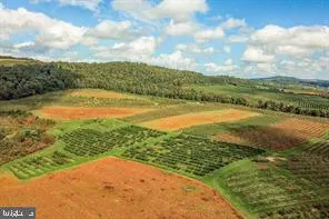 a view of a lake with a yard