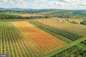 a view of an outdoor space and swimming pool