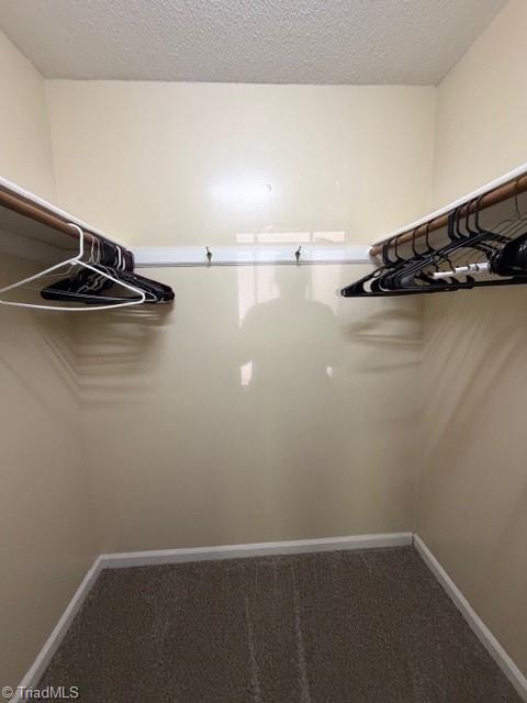 5611 Hornaday Road, Unit L Greensboro, NC 27409 - Photo 16 of 19