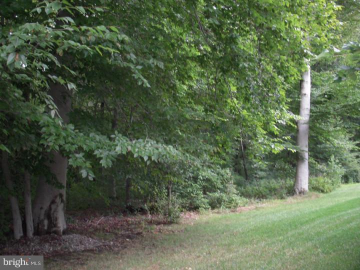 51 Warwick Road Princeton Junction, NJ 08550 - Photo 18 of 18 View