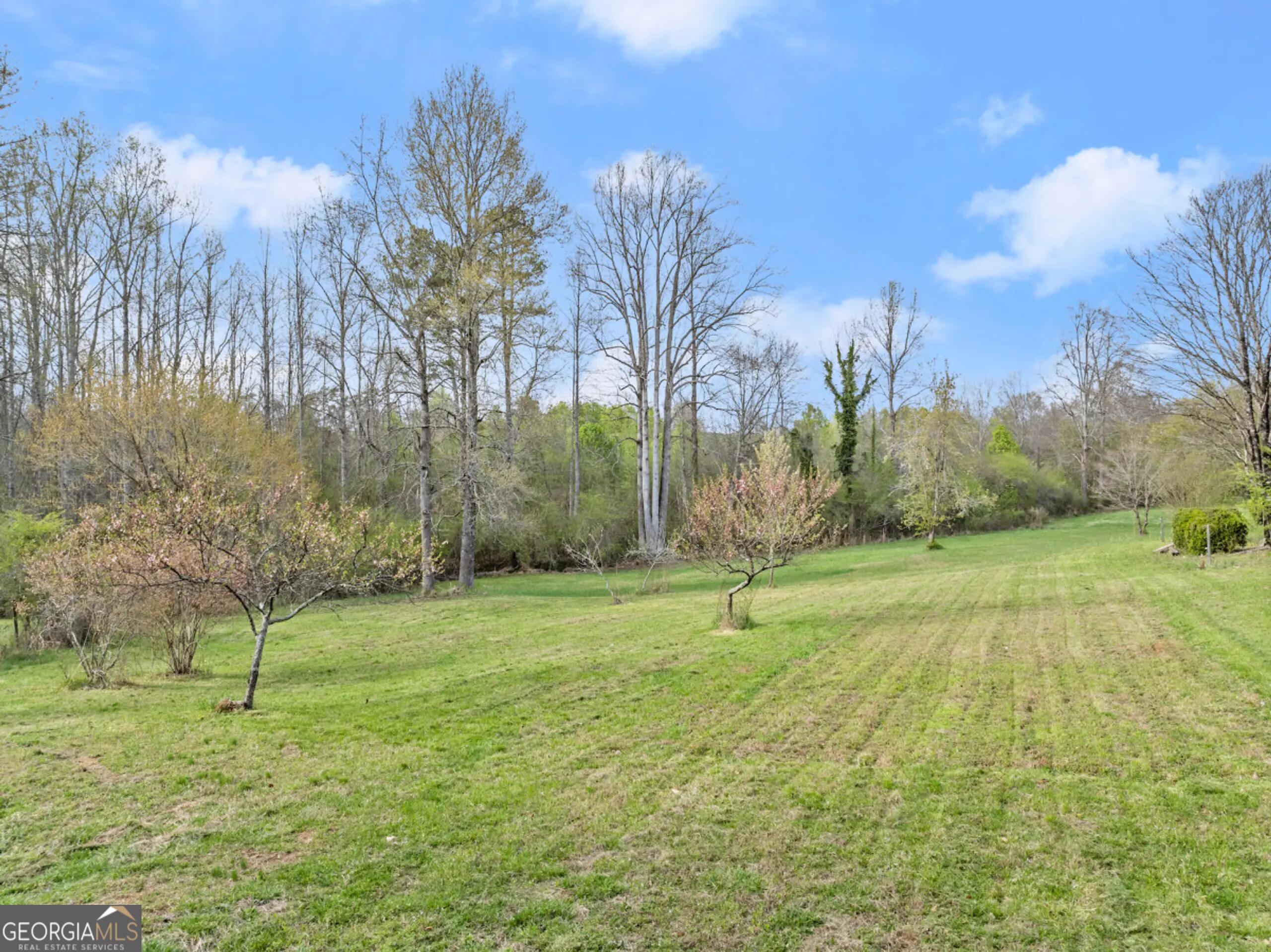 3967 C C Loggins Road Gainesville, GA 30506 - Photo 7 of 45