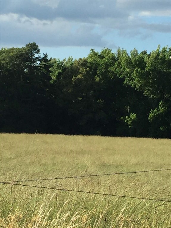 2 12.81 Acres Cheddar Road Belton, SC 29627 - Photo 1 of 1