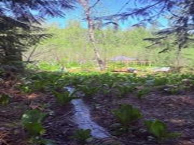 8657 Spring Valley Road Elk, WA 99009 - Photo 19 of 47