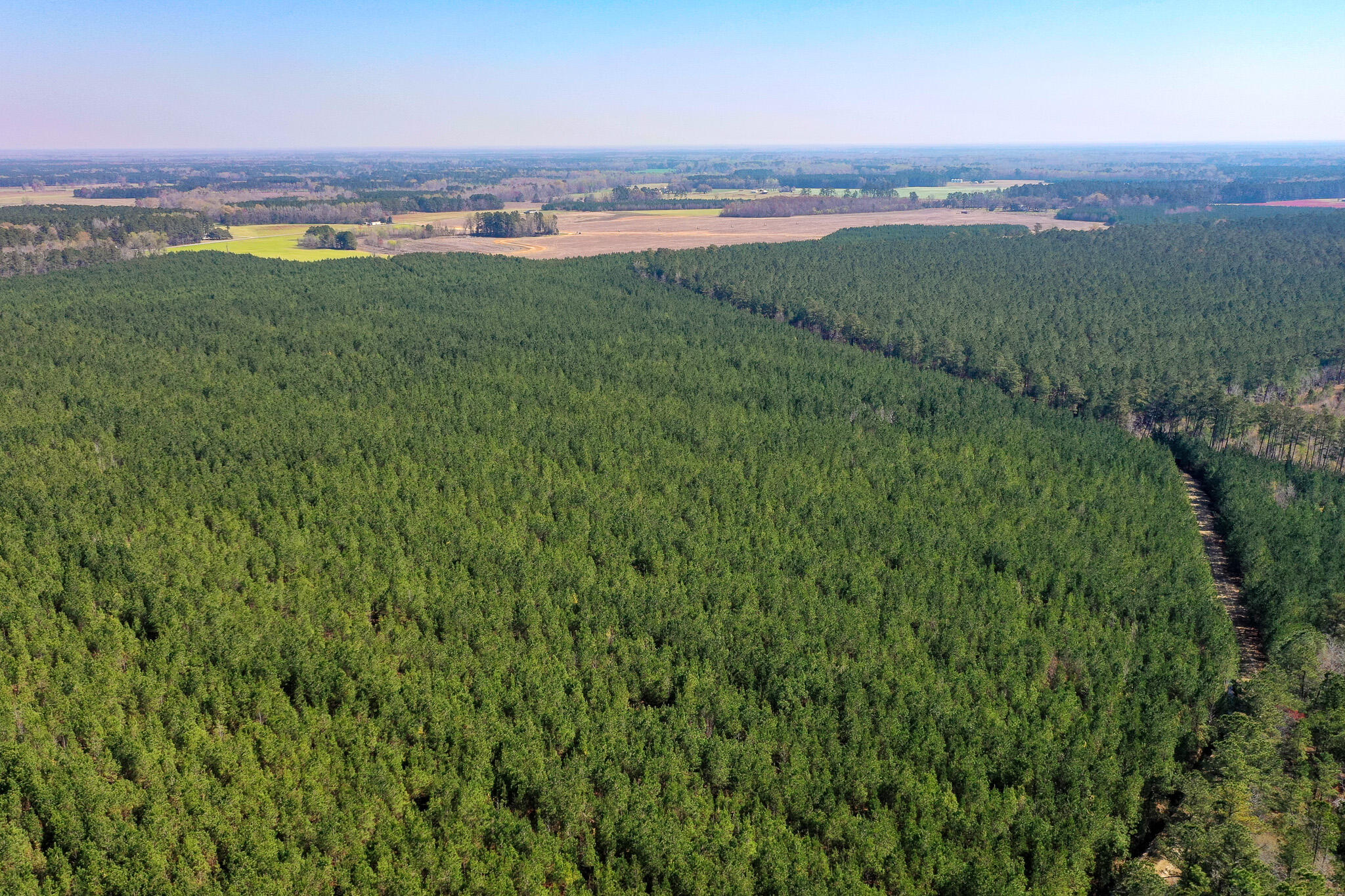 0 Cedar Swamp Road Kingstree, SC 29556 - Photo 1 of 31 KINGSTREE-4-2