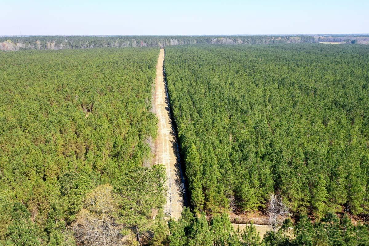 0 Cedar Swamp Road Kingstree, SC 29556 - Photo 2 of 31 KINGSTREE-1