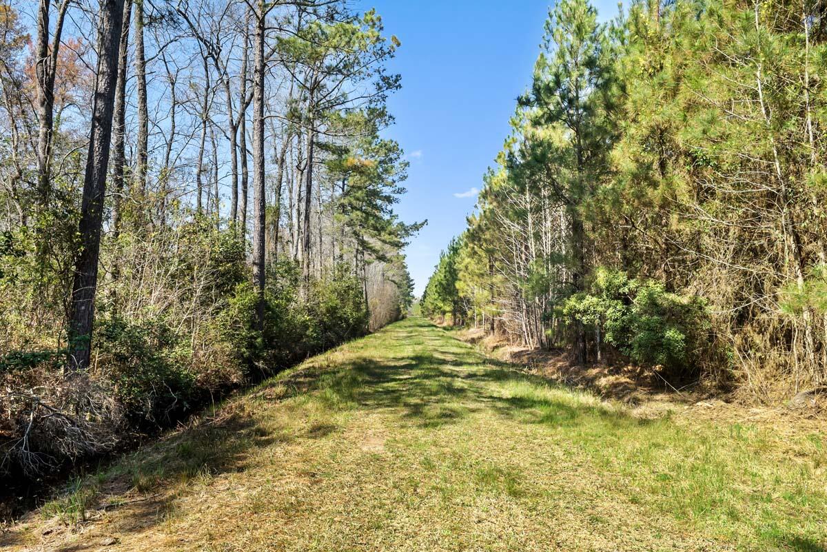0 Cedar Swamp Road Kingstree, SC 29556 - Photo 23 of 31 KINGSTREE-22