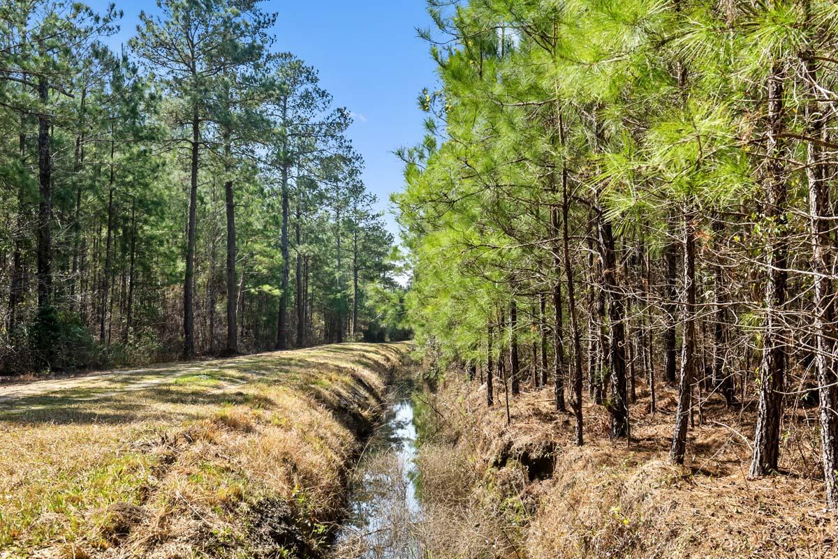 0 Cedar Swamp Road Kingstree, SC 29556 - Photo 29 of 31 KINGSTREE-28