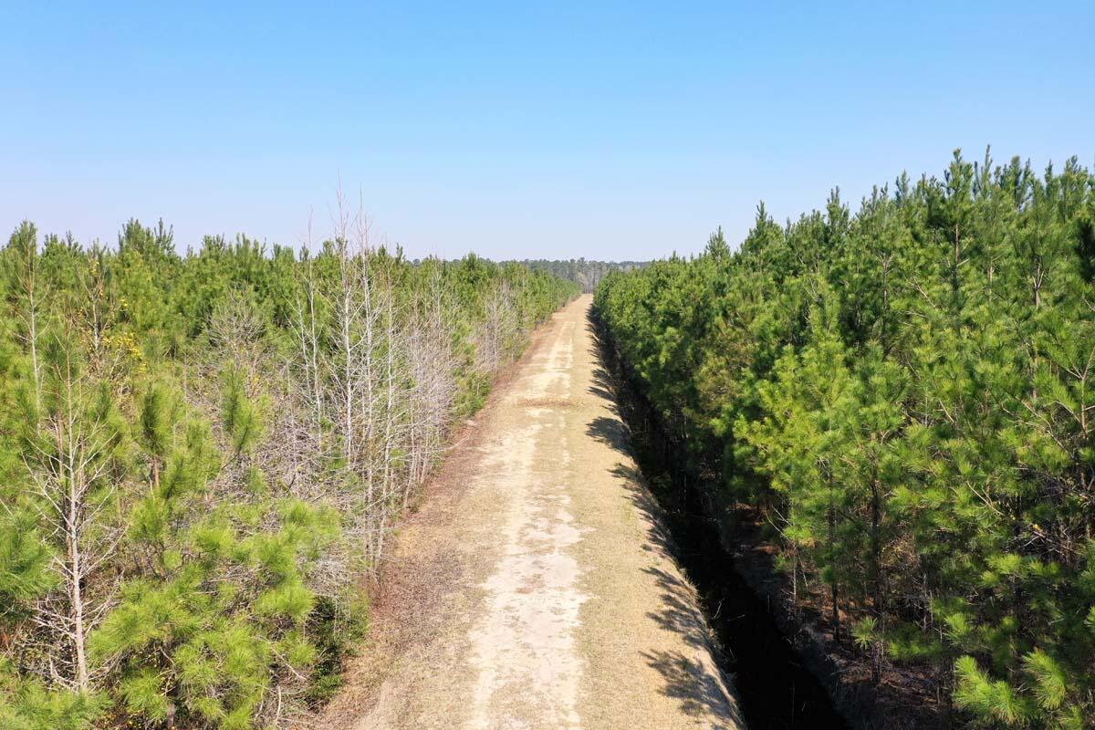 0 Cedar Swamp Road Kingstree, SC 29556 - Photo 8 of 31 KINGSTREE-7