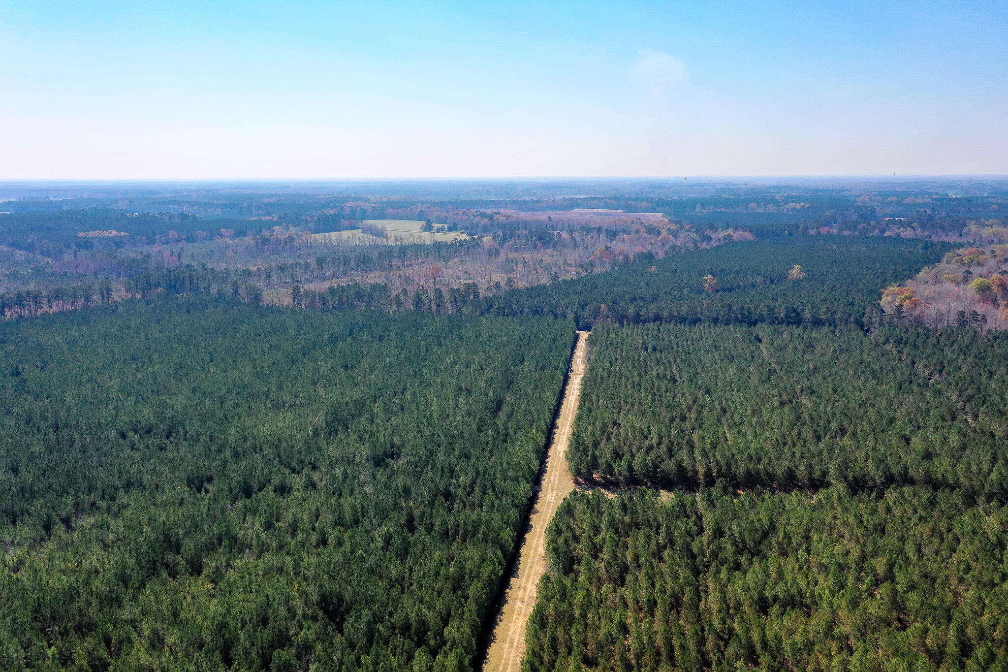 0 Cedar Swamp Road Kingstree, SC 29556 - Photo 9 of 31 KINGSTREE-8-2