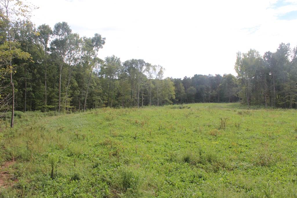 0 Poe Hill Road Elkton, KY 42220 - Photo 2 of 20 Gallery Image 2