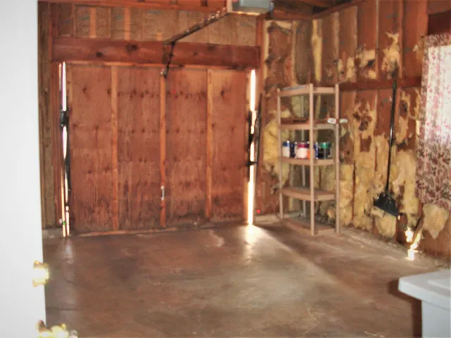 a view of a potted plant on a street