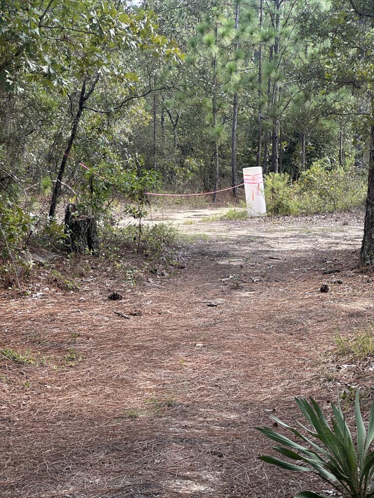 -6.17 Acres) Pineknot Road Box Springs, GA 31801 - Photo 8 of 11 Gallery Image 8