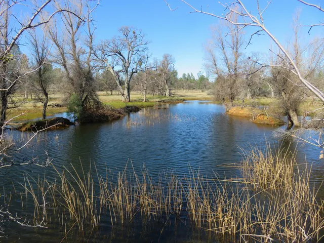 a view of a lake with houses