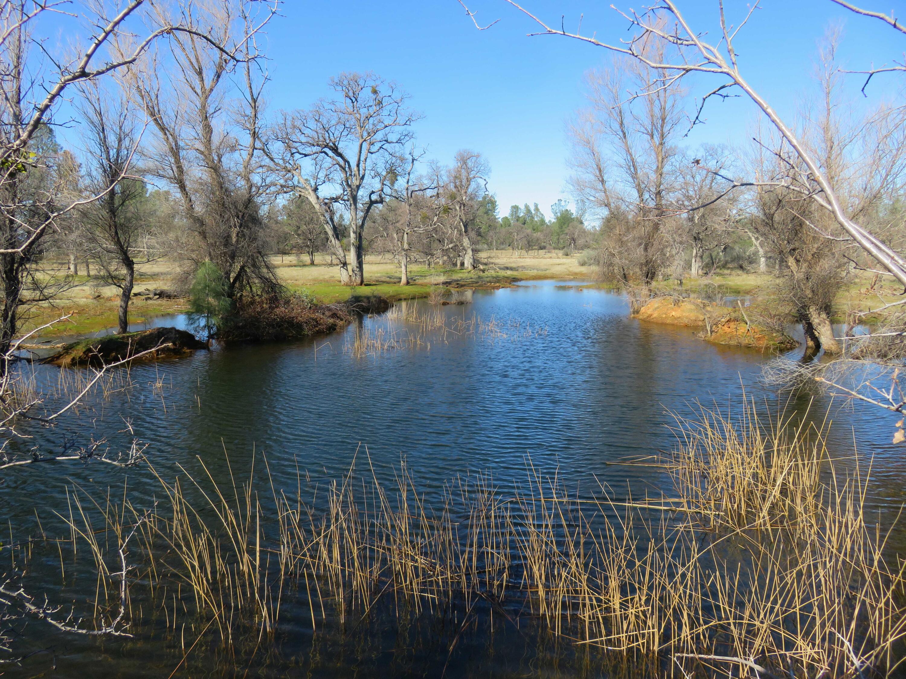 a view of a lake with houses