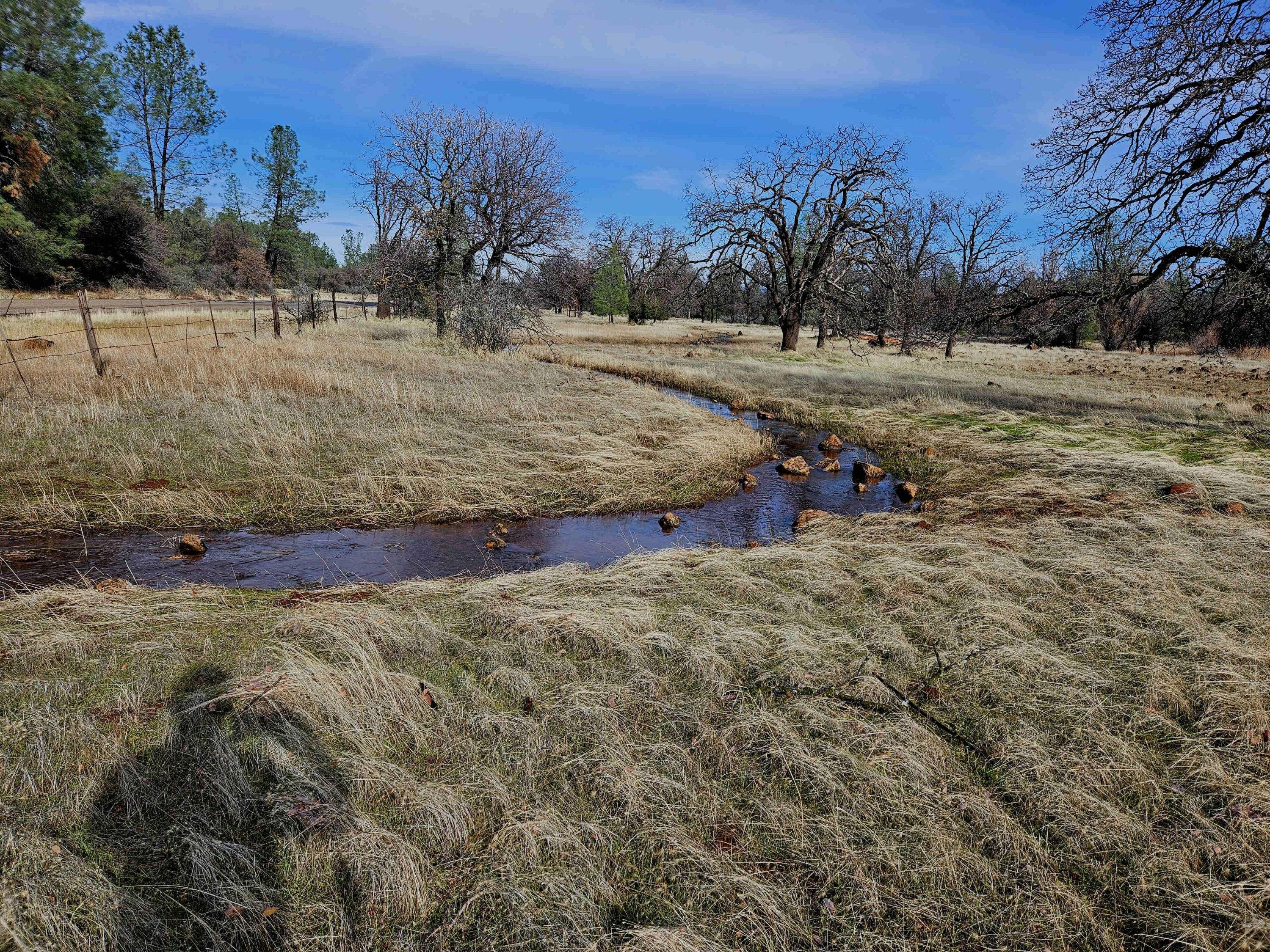 41-acres Ash Creek Road Anderson, CA 96007 - Photo 11 of 24 a view of dirt yard with a large tree