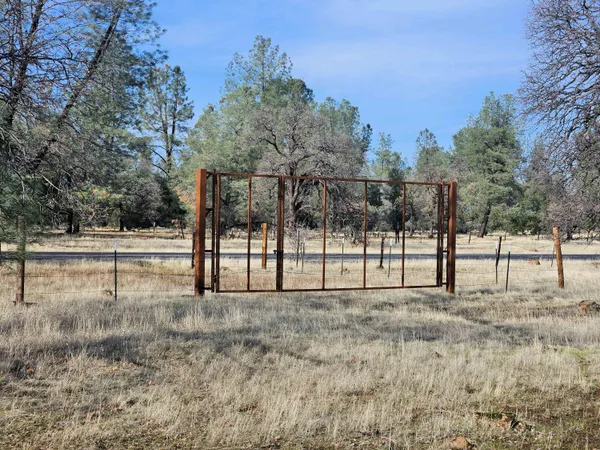 a view of a field