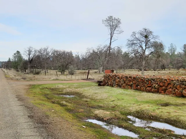 a view of a yard with water fountain and large tree