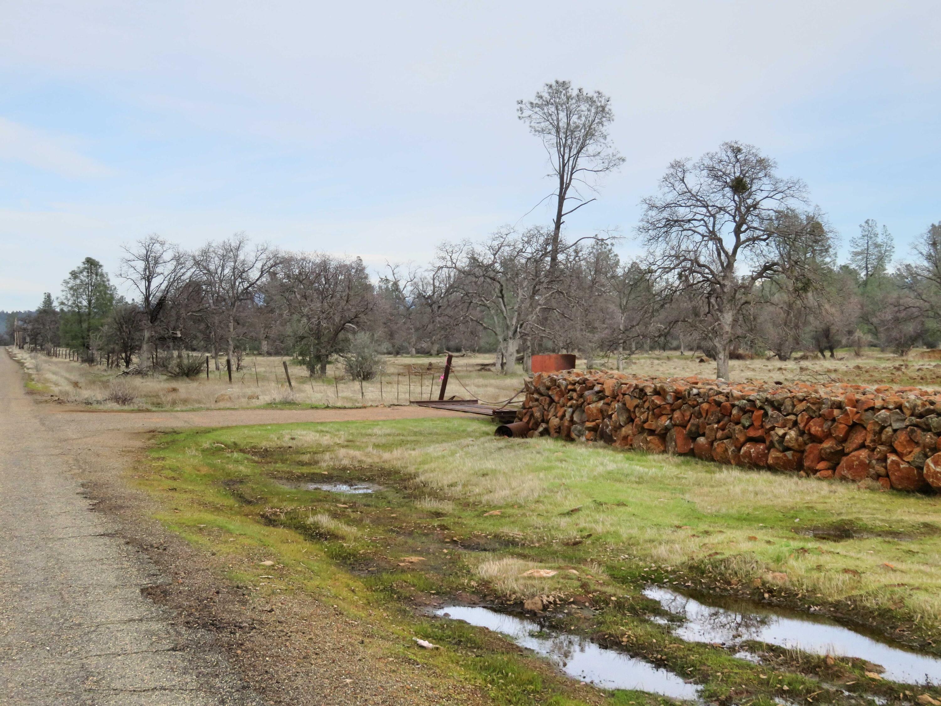41-acres Ash Creek Road Anderson, CA 96007 - Photo 14 of 24 a view of a field