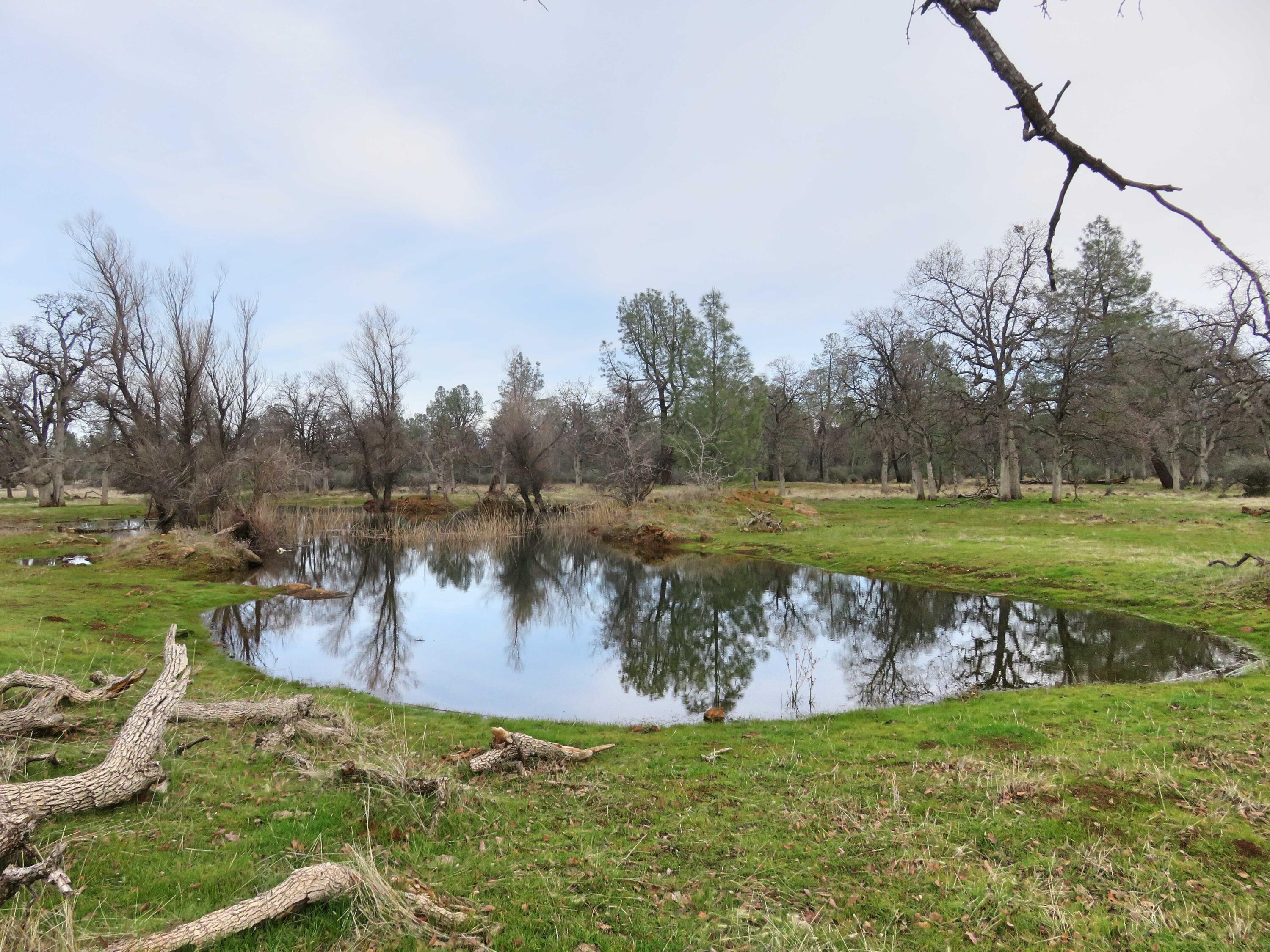 41-acres Ash Creek Road Anderson, CA 96007 - Photo 15 of 24 a view of a lake with a yard and trees