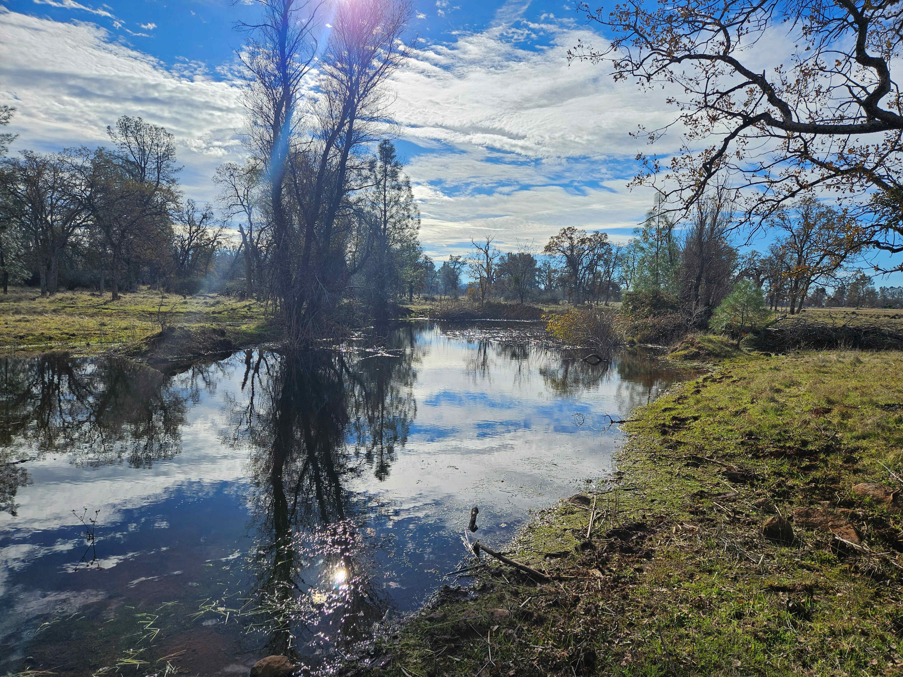 41-acres Ash Creek Road Anderson, CA 96007 - Photo 16 of 24 a view of a yard with water fountain and large tree