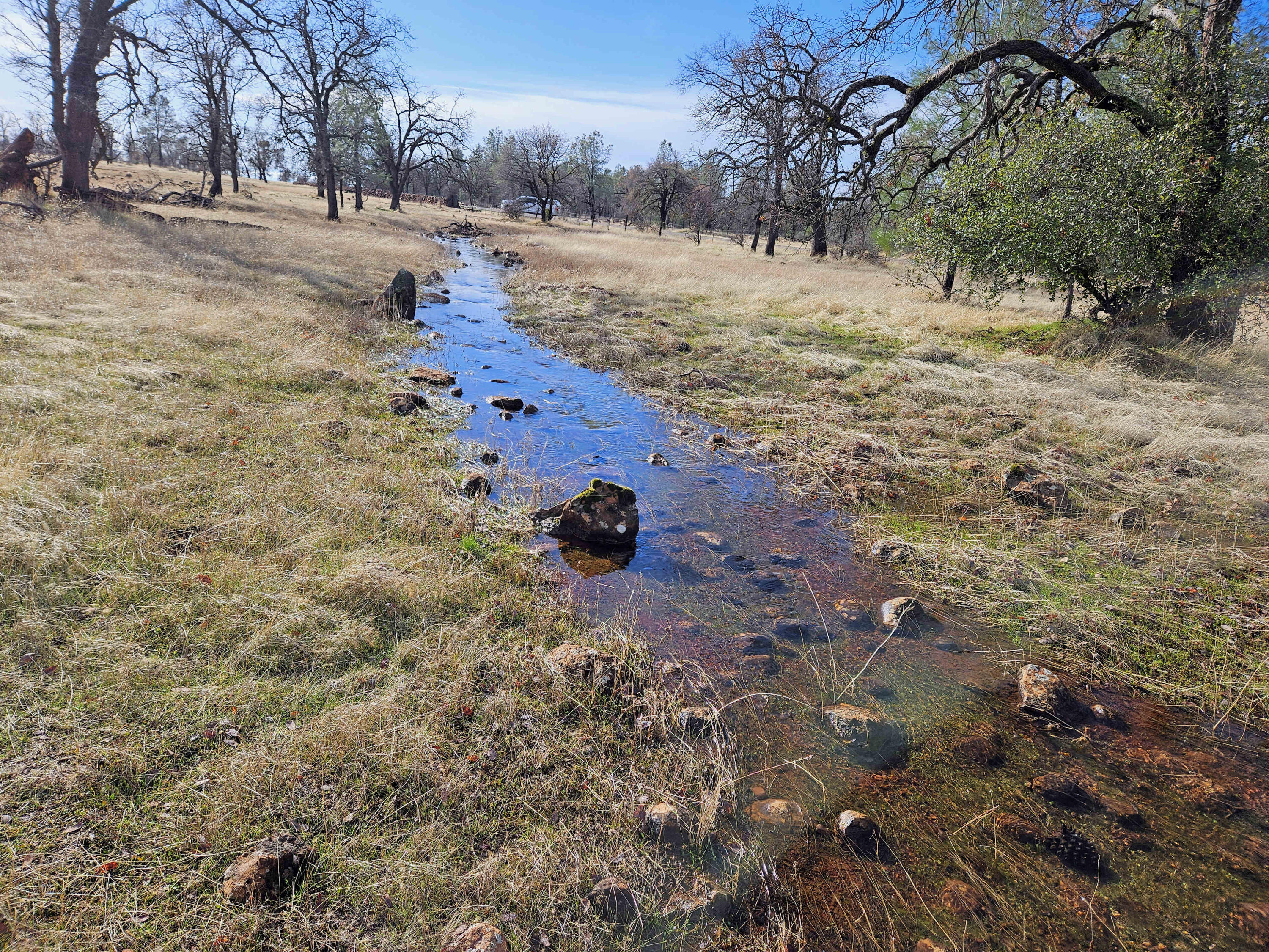 41-acres Ash Creek Road Anderson, CA 96007 - Photo 20 of 24 a view of dirt yard with trees