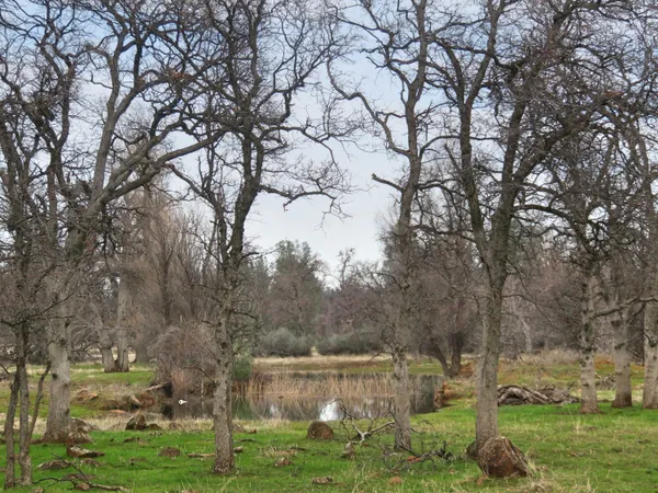 a view of lake with outdoor space