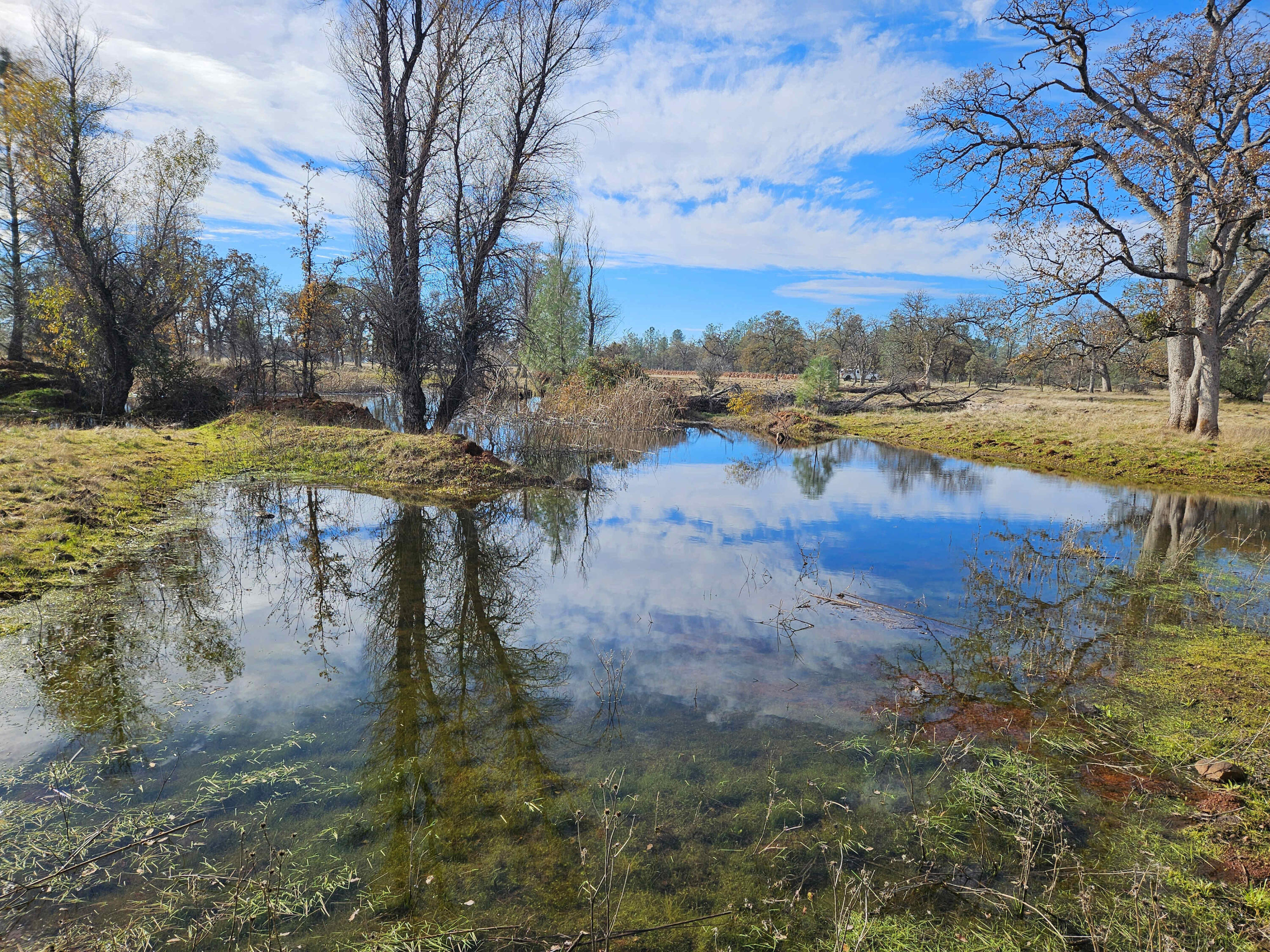 41-acres Ash Creek Road Anderson, CA 96007 - Photo 5 of 24 a view of a lake with houses