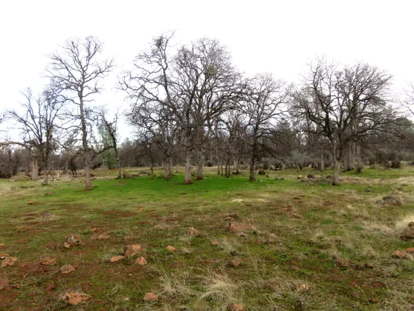 a view of outdoor space with green field and trees all around