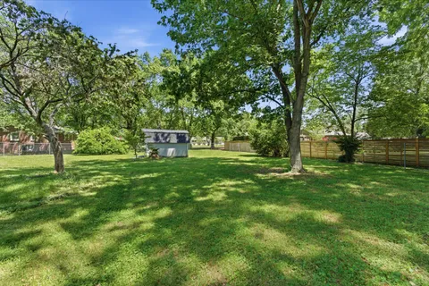 a view of a park with a tree