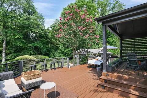 a view of a forest with a tree