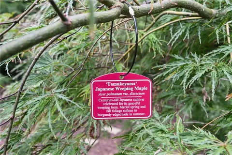 $1,190,000 | 2067 Fairhaven Circle Northeast, Atlanta, GA 30305