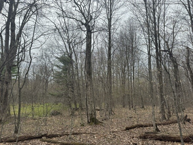 Lot 4 Shaver Hill Road Meridale, NY 13806 - Photo 30 of 44