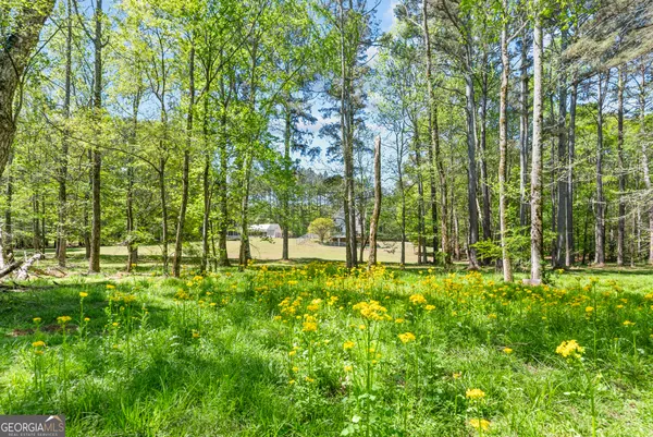 $800,000 | 599 Double Branch Road, Danielsville, GA 30633