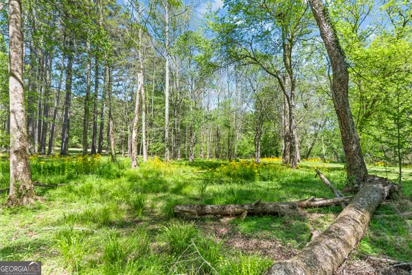 $800,000 | 599 Double Branch Road, Danielsville, GA 30633
