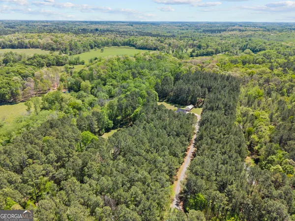 $800,000 | 599 Double Branch Road, Danielsville, GA 30633