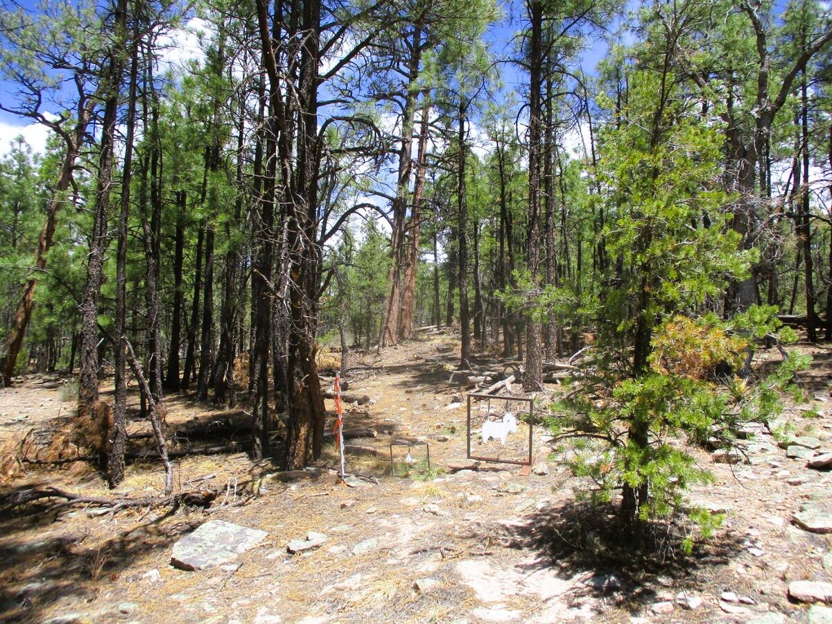 160 Black Bear Road Ramah, NM 87321 - Photo 76 of 103 Gallery Image 76
