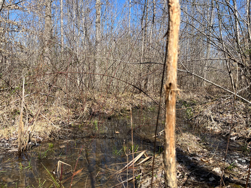 Tbd Forge Mill Road Clay City, KY 40312 - Photo 21 of 43 20