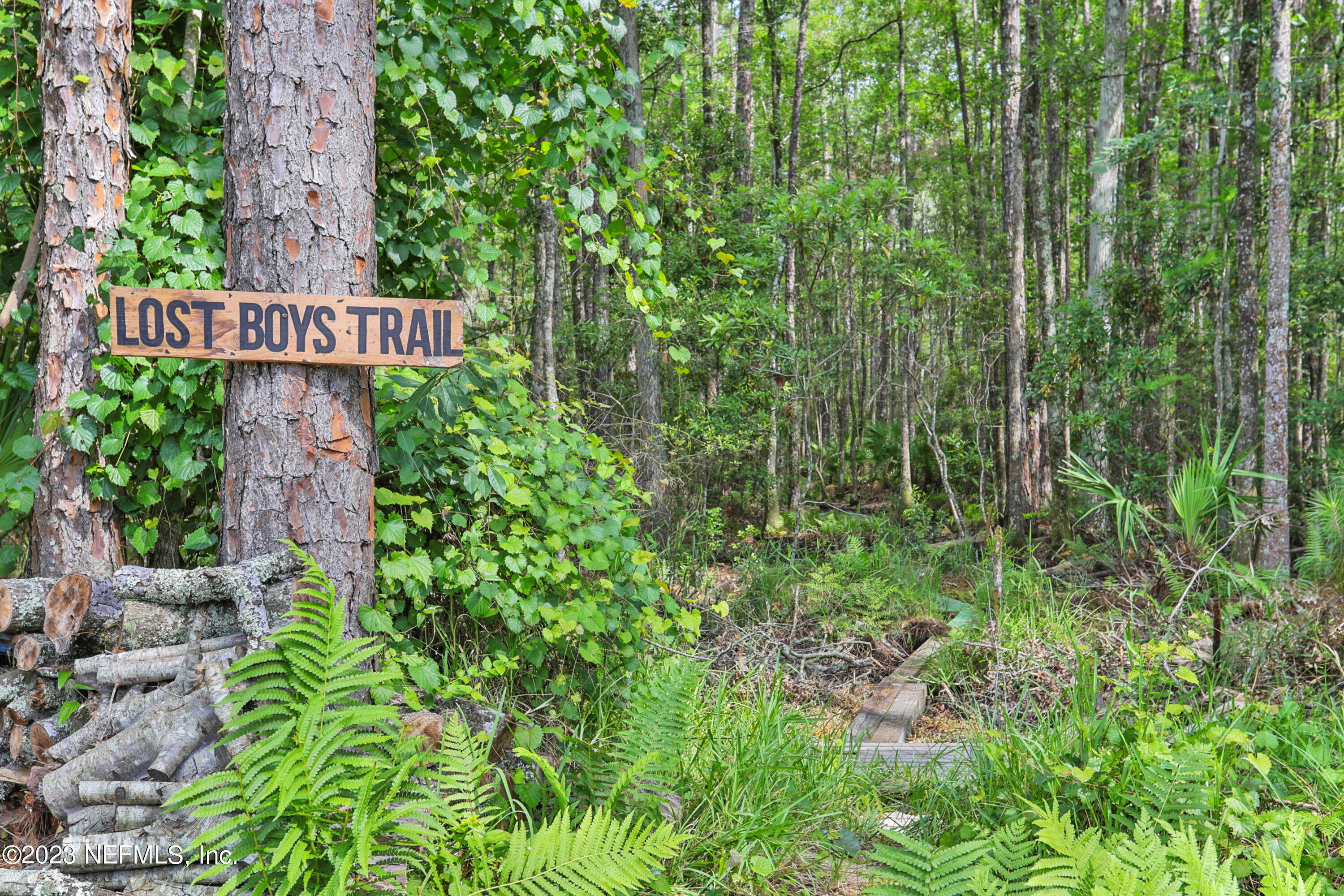 212 Twining Trace St. Johns, FL 32259 - Photo 35 of 60 Backyard Trail