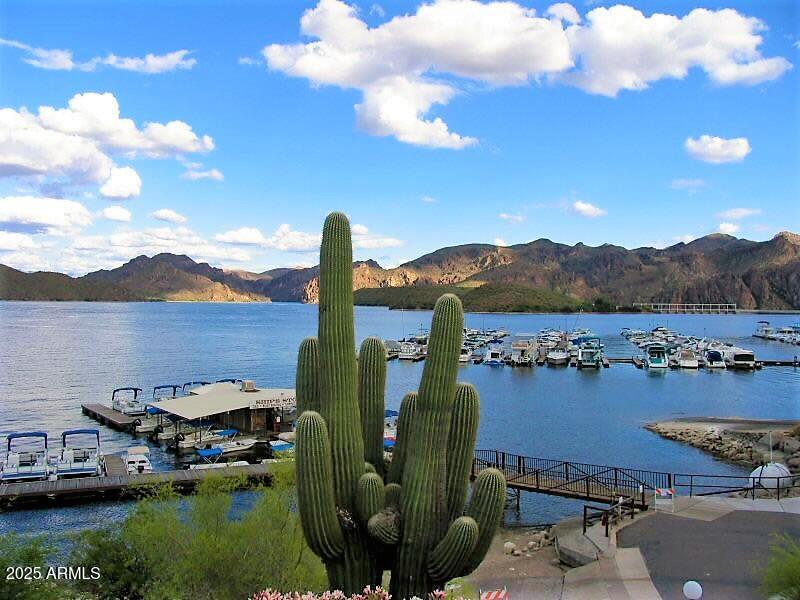 6334 East Viewmont Drive, Unit 57 Mesa, AZ 85215 - Photo 52 of 61 Saguaro Lake Marina