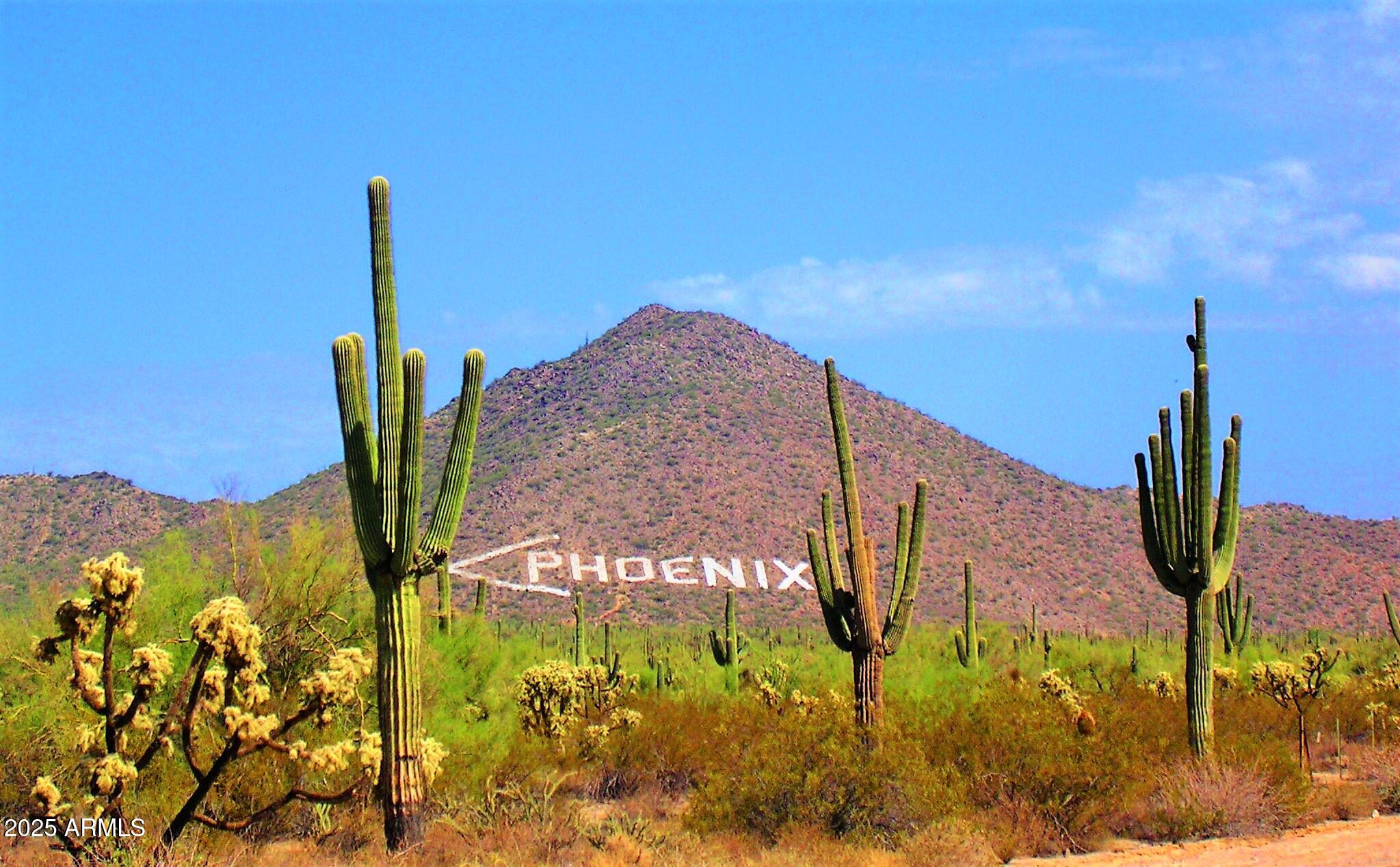 6334 East Viewmont Drive, Unit 57 Mesa, AZ 85215 - Photo 54 of 61 a view of a garden with an ocean view