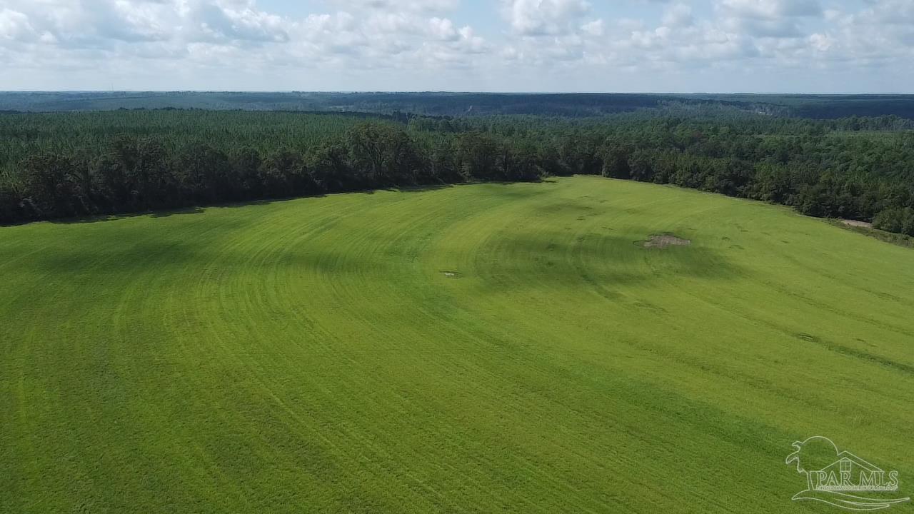 2700-block Rawls Road Brewton, AL 36426 - Photo 12 of 26 Gallery Image 12