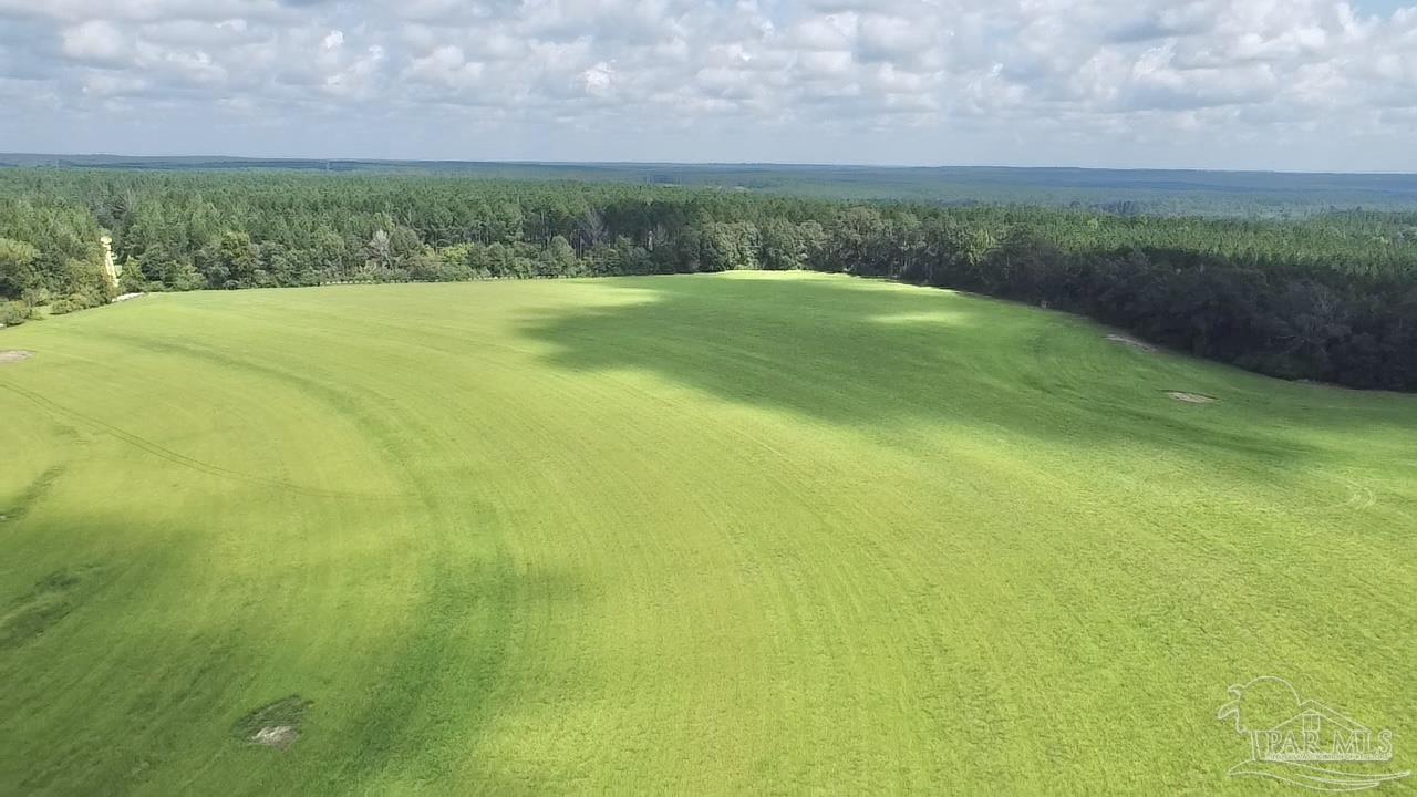 2700-block Rawls Road Brewton, AL 36426 - Photo 16 of 26 Gallery Image 16