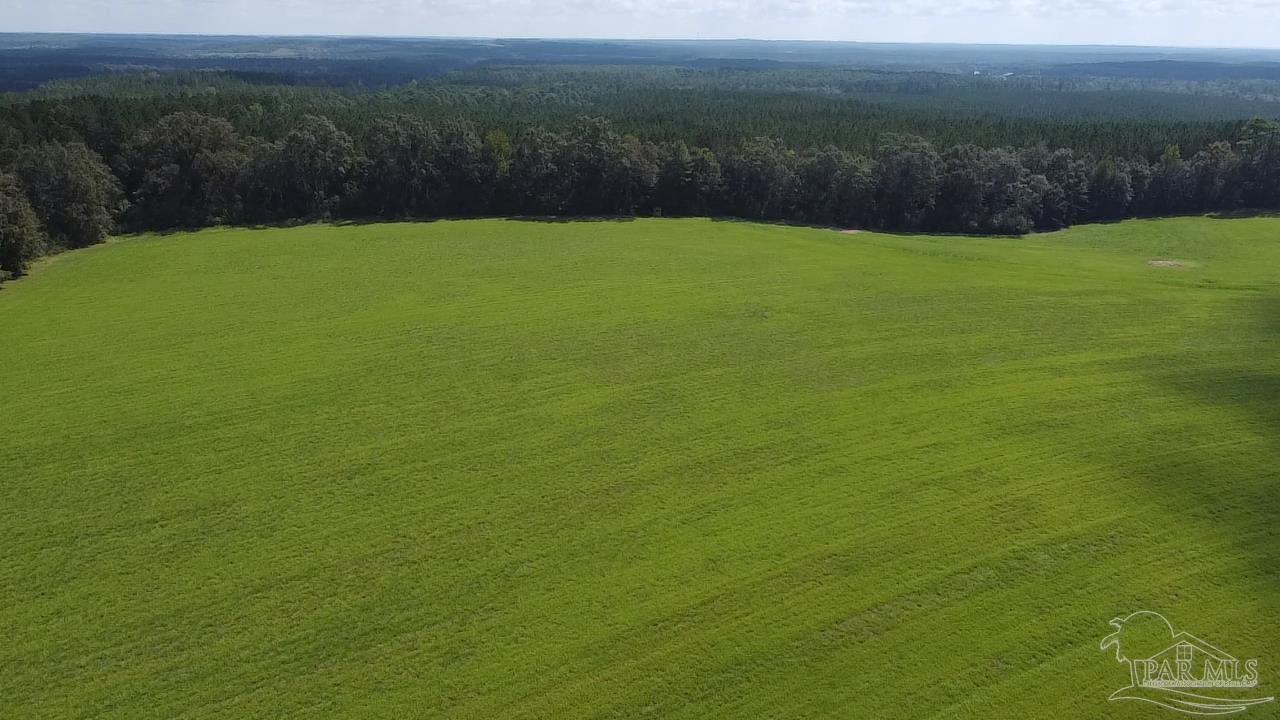 2700-block Rawls Road Brewton, AL 36426 - Photo 6 of 26 Gallery Image 6