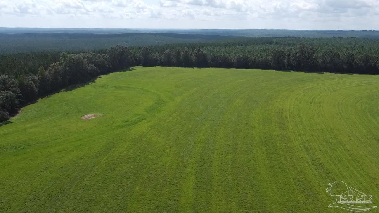 2700-block Rawls Road Brewton, AL 36426 - Photo 8 of 26 Gallery Image 8