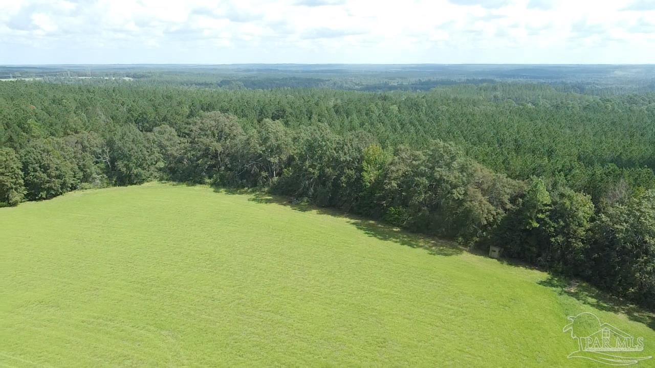 2700-block Rawls Road Brewton, AL 36426 - Photo 10 of 26 Gallery Image 10