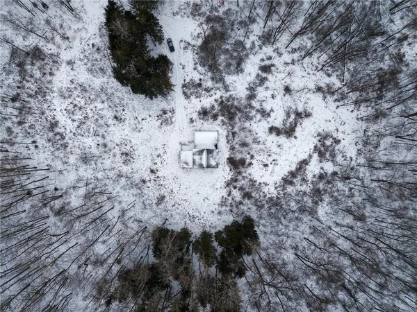 a view of a dry yard with trees and bench