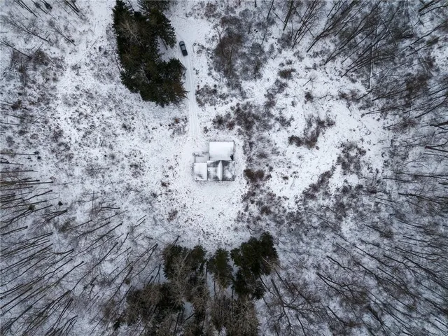 a view of a dry yard with trees and bench